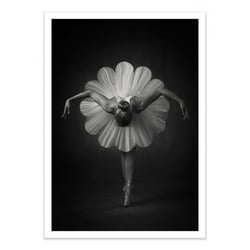 Affiche 50x70 cm - Floral Ballet - Catchlight Studio