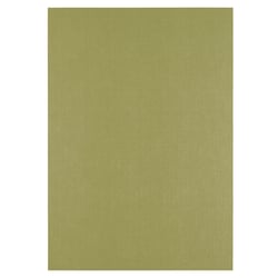 Papier cartonné Florence - Acacia - 100 feuilles - A4 - 250 g/m²