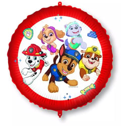 Ballon Aluminium Hélium Pat Patrouille Rescue Heroes - 46 cm