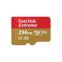 Carte mémoire Micro SD - SANDISK Extreme - 256 Go