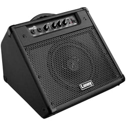 DH40 DrumHub Laney