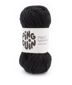 Découvrez le Fil Pingo Raphia Like de Pingouin : Un Must-Have pour Vos Projets de Décoration et d'Accessoires Noir