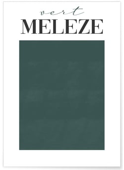 Affiche Vert Mélèze | A3 : 29,7x42cm