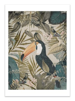 Affiche 30 x 40 cm - Jungle Toucan - Andrea Haase