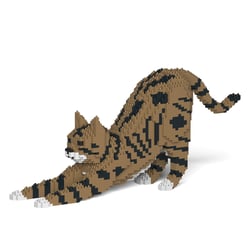 Chat Tigré marron qui s'étire | JEKCA | 14 ans et +