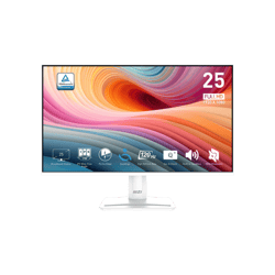 MSI PRO MP251W E2