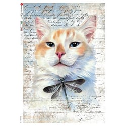 1 feuille de papier de riz 22.5 x 32 cm découpage collage Paper Designs CHAT LIBELLULE ECRITURE 0160