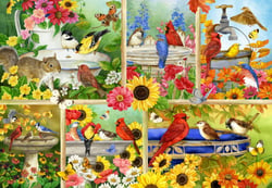Puzzle 1000 pièces - Plumes et Compagnie - Bluebird Puzzle
