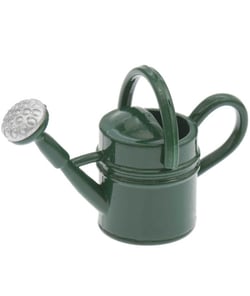 Arrosoir miniature vert - Rico Design Bois