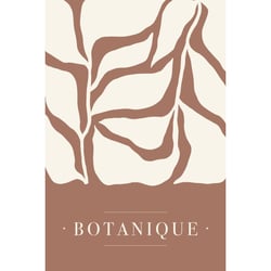 Tableau sur toile Botanique 45x65 cm