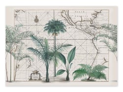 Affiche 30 x 40 cm - South sea palm cove - Andrea Haase