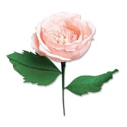 Matrices de découpe - Rose 3D - 7 dies Thinlits - Sizzix