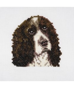 Mini Kit de Point de Croix Compté Springer Spaniel – 13 x 13 cm – Trimits Springer Spaniel