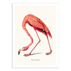 Affiche 50x70 cm - Boho Flamingo - Jonas Loose
