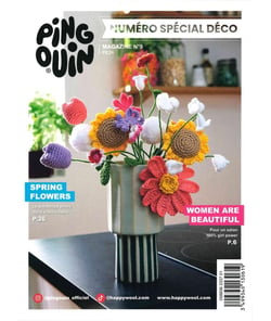 Magazine Pingouin N°9 - Spécial Déco Multicolore