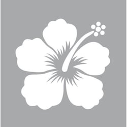 Graine Créative - Pochoir 8 x 8 cm Hibiscus