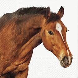 Lot de 4 serviettes en papier découpage collage 33 cm CHEVAL A 1008