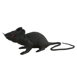 Rat - noir