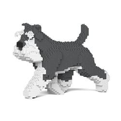 Chien Schnauzer Moyen qui marche gris et blanc Taille standard | JEKCA | 14 ans et +