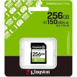 Carte mémoire KINGSTON Canvas Select Plus - SDS3/256GB - Vert, Noir, Blanc - 256 Go