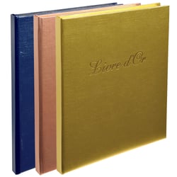 Livre d'or Balacron avec titre 140 pages blanches - 21x19 cm vertical - Couleurs assorties - x 5 - Exacompta
