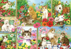 Puzzle 1000 pièces - Chats et Chatons - Bluebird Puzzle