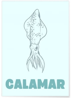 Affiche Calamar | A3 : 29,7x42cm