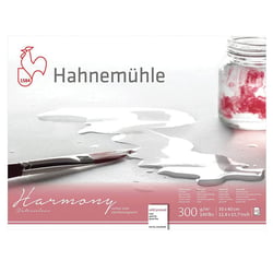Bloc aquarelle Harmony 300g/m2 12feuilles grain fin 30x40cm - Hahnemühle
