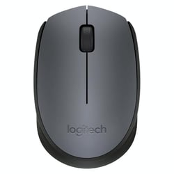Souris Sans Fil USB 1000DPI Avec Récepteur 2.4G Pour Windows Mac Chrome OS Gris YONIS