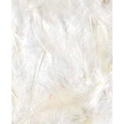 Plumes blanches 12 cm - Artemio