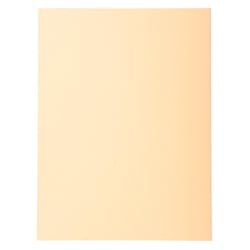 Paquet de 100 chemises Forever® 220 100% recyclé - 24x32cm - Bulle - x 5 - Exacompta
