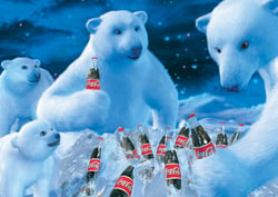 Puzzle 1000 pièces - Coca Cola - Ours Polaires - Schmidt Spiele