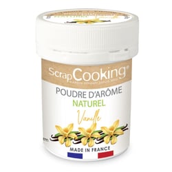 Poudre d'arôme naturel vanille bio