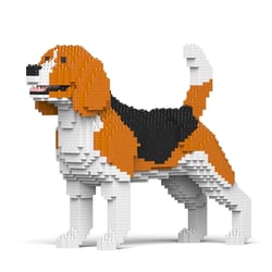 Chien Beagle Taille standard | JEKCA | 14 ans et +