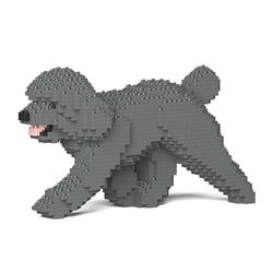Chien Caniche Nain qui marche gris Taille standard | JEKCA | 14 ans et +