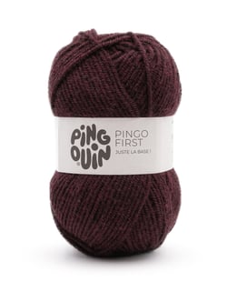 Pingo First