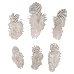 Plume déco Motif de zèbre, 8-12cm, 6pces