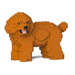 Chien Caniche Nain qui tourne la tête roux Taille standard | JEKCA | 14 ans et +