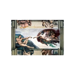 Puzzle ravensburger La Création d'Adam 5000 pièces Softclick
