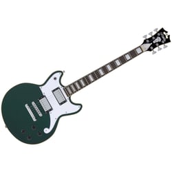 Premier Brighton Sherwood Green D'Angelico