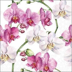 Lot de 4 serviettes en papier découpage collage 33 cm ORCHIDEE FOND BLANC F 152