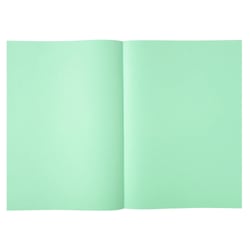 Paquet de 250 sous-chemises SUPER 60 - 22x31cm - Vert clair - x 5 - Exacompta