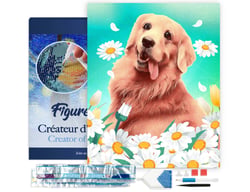 Diamond Painting Broderie Diamant Figured’Art 40x50cm toile tendue sur châssis en bois - diamants carrés - Golden Retriever