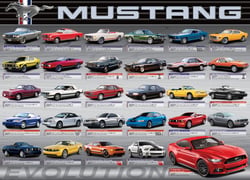 Puzzle 1000 pièces - Ford Mustang Evolution - Eurographics
