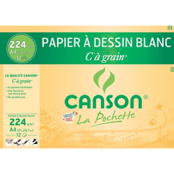 Canson - Papier à dessin - A4 - 21 x 29,7 cm - Blanc - 224g - 12 feuilles