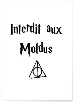 Affiche Interdit aux Moldus | A3 : 29,7x42cm