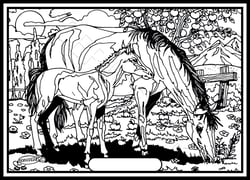 Tableau velours a colorier Jument blanche et poulain Sericolor