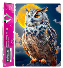 Diamond Painting Broderie Diamant LUMINLIFE 50x70cm, 100% strass, diamants ronds - Hibou magique