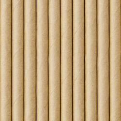 10 Pailles Kraft