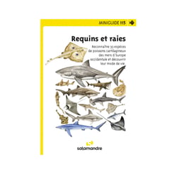 Miniguide 115 - Requins et Raies